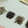 網上花茶店生意轉讓可Autorun網上良心東主固有模式提供穩定性 約200呎成立約9年 1 Online 33 Scented Tea