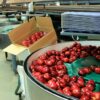 食物工場資產頂讓具食物製造廠牌照屯門總投資額約$300,000口碑良好裝修保養好節省大量裝修時間已有一定客源保障收入生意資產轉讓 1 食物工場 17